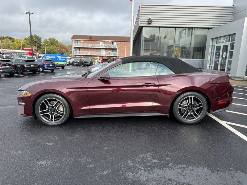 2018 Ford Mustang 2D Convertible EcoBoost Premium stk#FM8203A