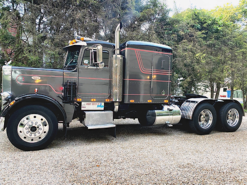 1981 PETERBILT 359