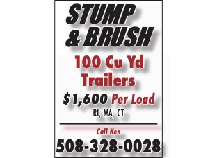 BRUSH / STUMPS
